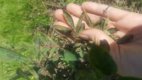 20170730_145729.jpg