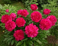 IMG_20130626_012139.jpg