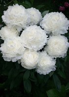 IMG_20130626_012627.jpg