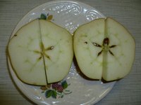 избранница в разрезе 1.jpg