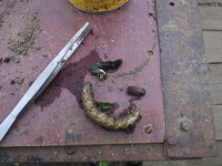 2012.07.24.05.jpg