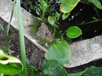 2012.07.24.09.jpg