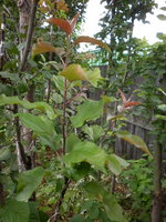 P1010019.JPG