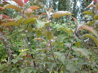P1010014.JPG
