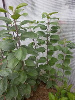 P1010026.JPG