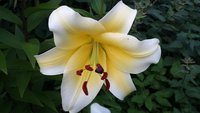 20170818_191319.jpg