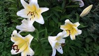20170818_191305.jpg