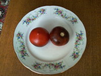 Синий (семена от Попенко)- ранний, урожайный, но мелковат, вкус средний.