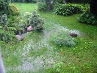 IMG_4103.JPG