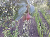 2013-06-27 19.14.00.jpg