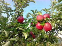 IMG_20160903_161013-min.jpg