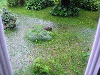 IMG_4107.JPG