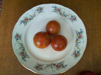 Ксикос ботермо (семена от Попенко).<br />вкус сладкий, но жидкий сам плод, когда поспеет.