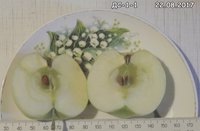 DSC03504.jpg