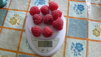 P1010405.JPG