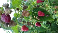 20170827_133416.jpg
