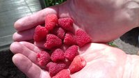 20170827_133505.jpg