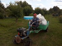 перевозка картошки 1.jpg