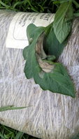IMG_20170827_163639.jpg
