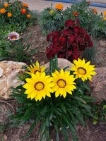 20170817_150429.jpg