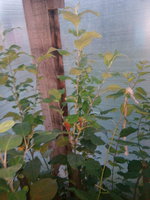 IMG_20170818_195027.jpg