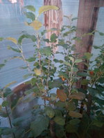 IMG_20170818_195031.jpg