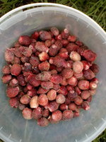 IMG_20170803_131110.jpg