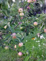 IMG_20170822_174852-min.jpg