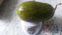 20170829_121814[1].jpg