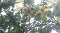 20170828_100122.jpg