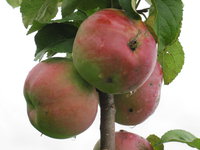 IMG_5734.JPG