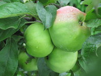 IMG_5745.JPG