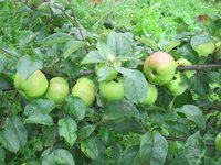 IMG_5744.JPG