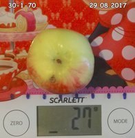 30-1-70  29.08.2017.jpg