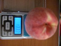 IMG_0049.JPG