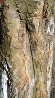 DSC04807-01.jpg
