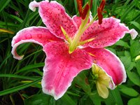 IMG_4156.JPG