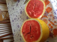 IMG_5741.JPG
