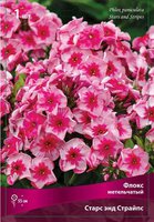 374. Phlox	paniculata	Stars and Stripes 0,89<br />примерно 67р<br /><br />Badina