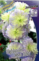 388. Delphinium	elatum	Delphi's Moonlight 	03/05	1,69<br />примерно 127р