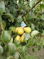 IMG_20170826_135921.jpg
