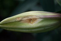 DSC_8022.jpg