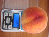 IMG_0018.JPG