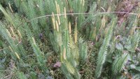 20170902_152807.jpg