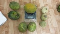 20170904_213909.jpg