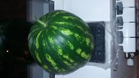 IMG-20170903-WA0003.jpeg