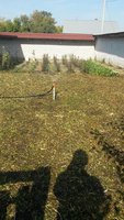 20170905_094122.jpg