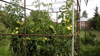 IMG_20170905_134401.jpg