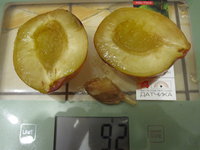 IMG_4276.JPG