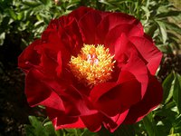 IMG_20130704_231701.jpg